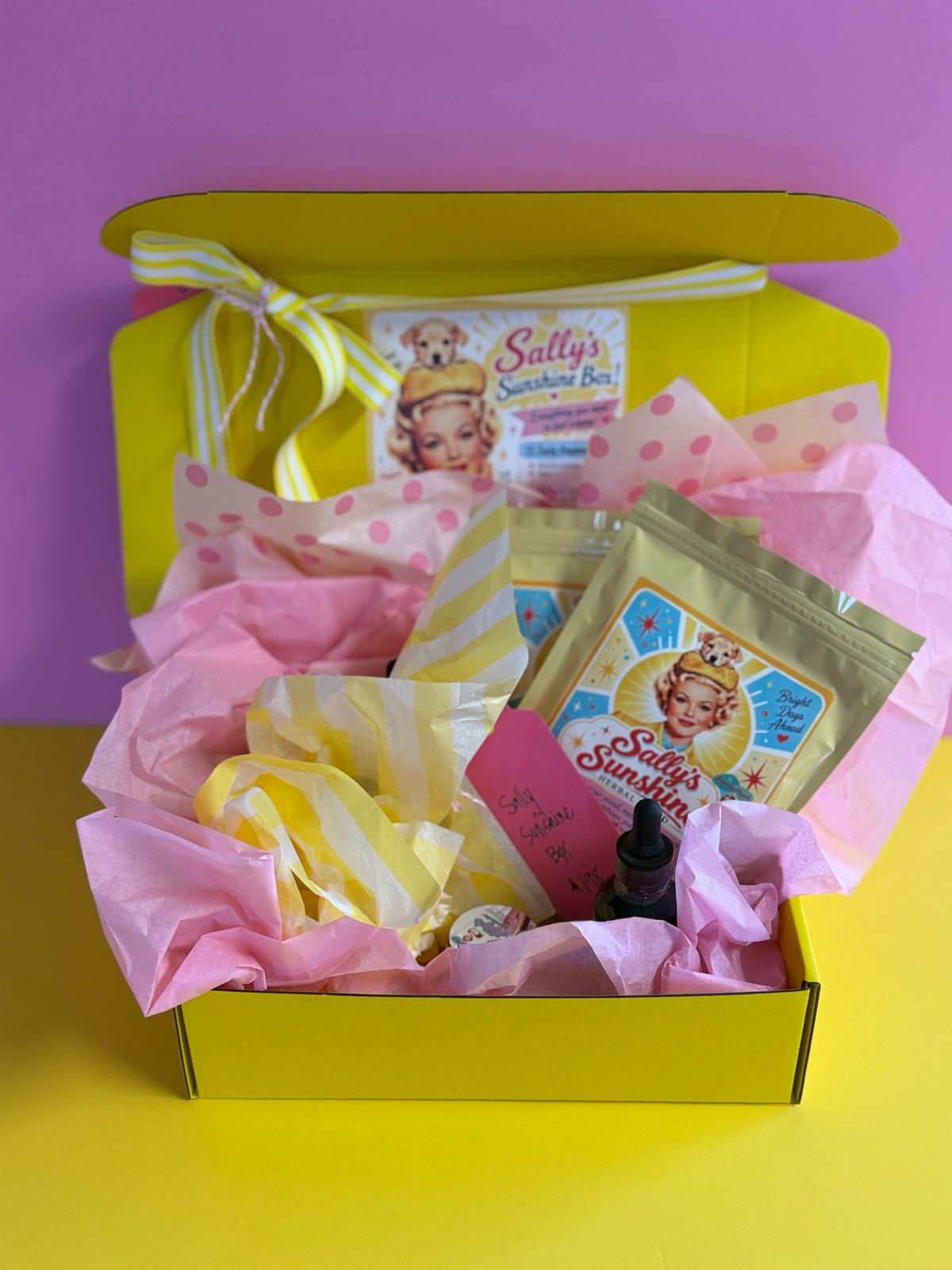 Sally Sunshine Bundle