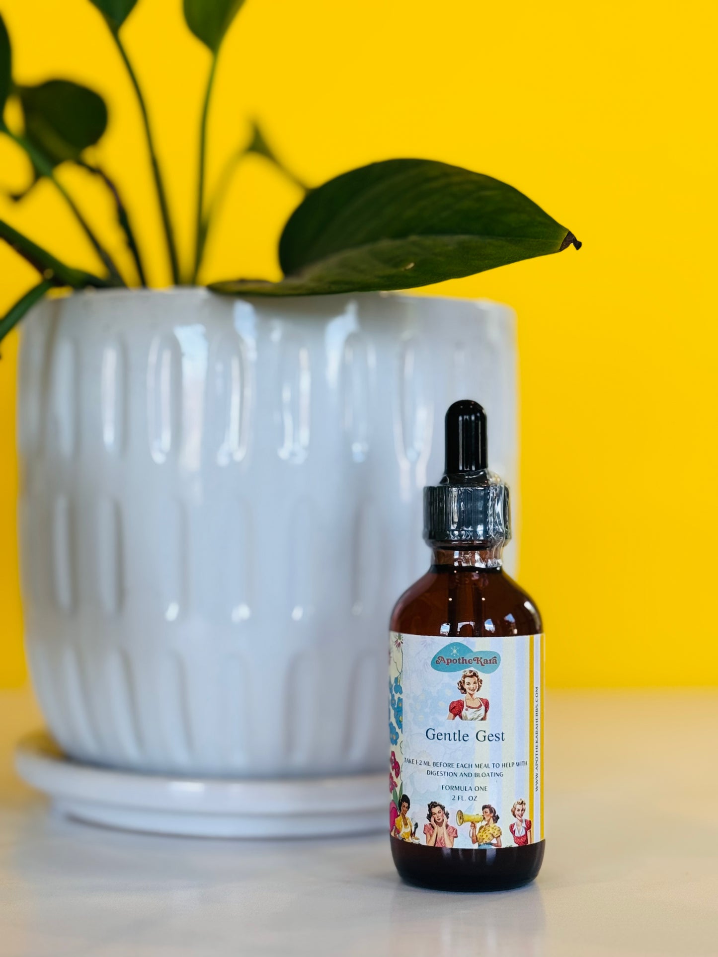 Gentle Gest - Formula One