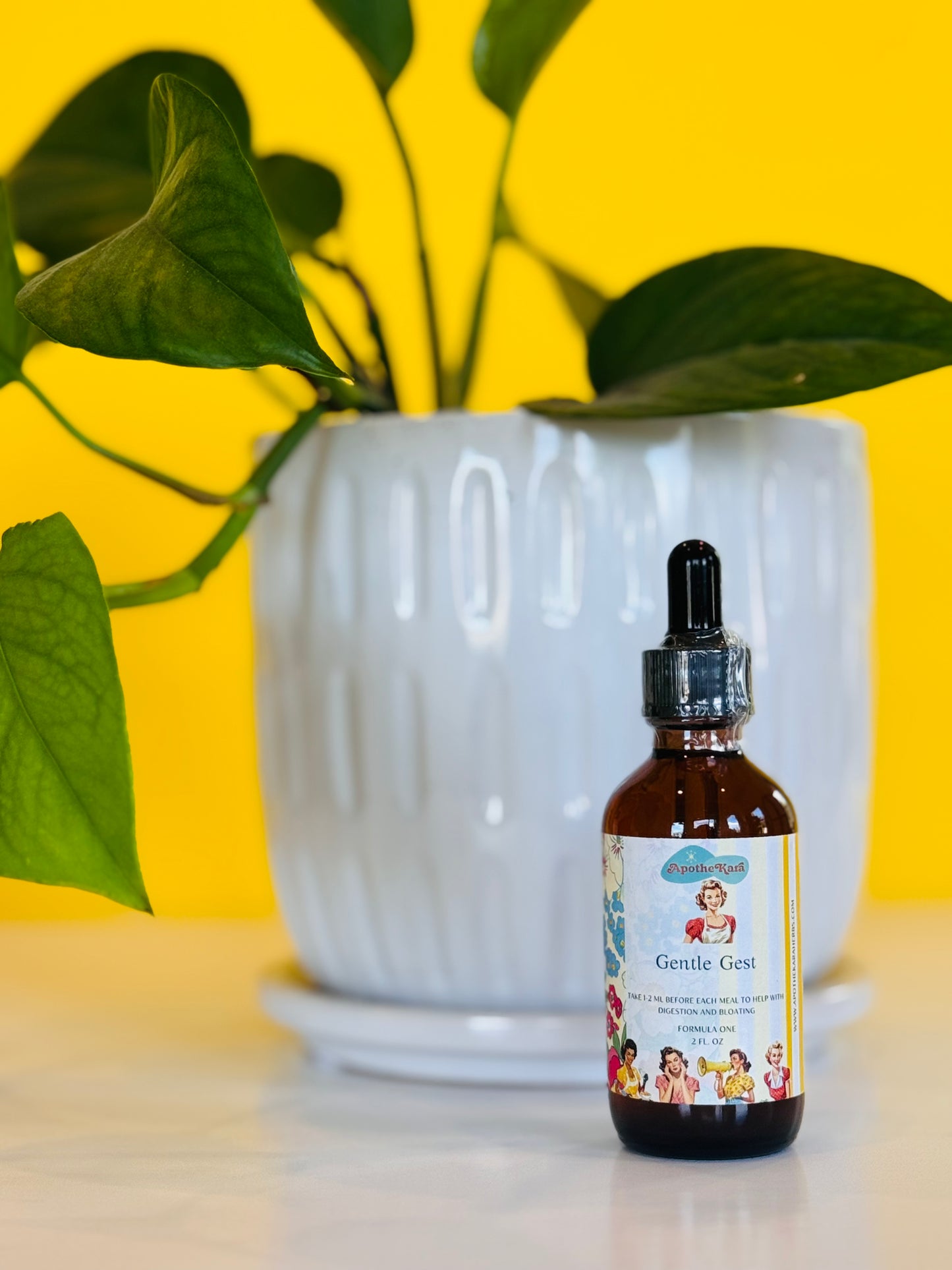 Gentle Gest - Formula One